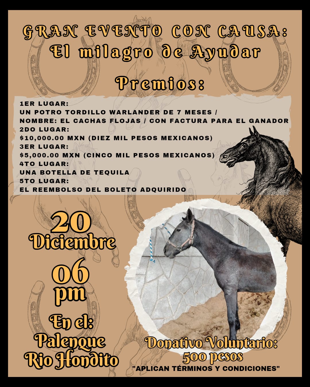 Descripción de la foto 1